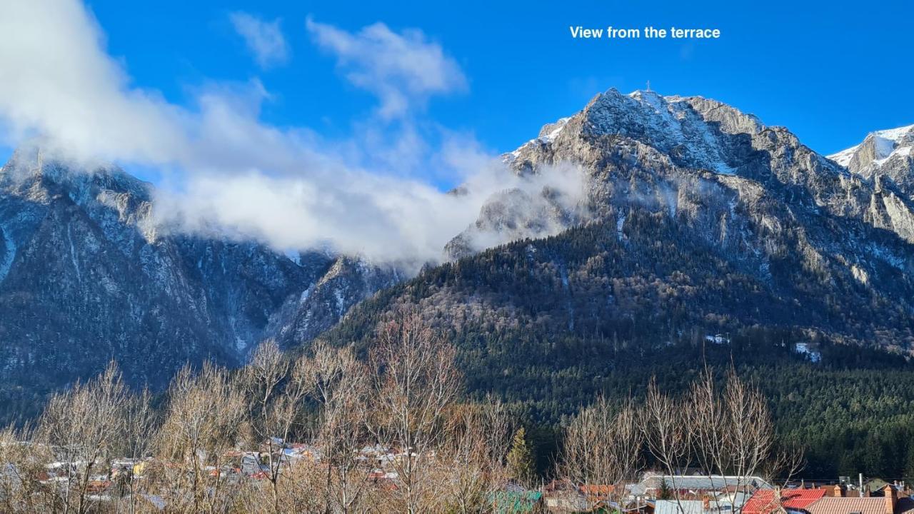 Cozy Riverfront Apartments With Garden And Mountain View Buşteni Buitenkant foto