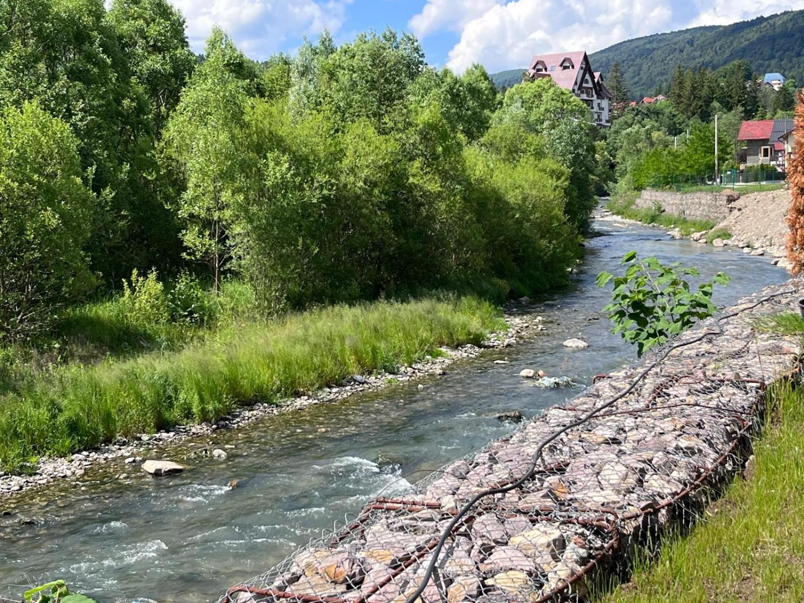 Cozy Riverfront Apartments With Garden And Mountain View Buşteni Buitenkant foto