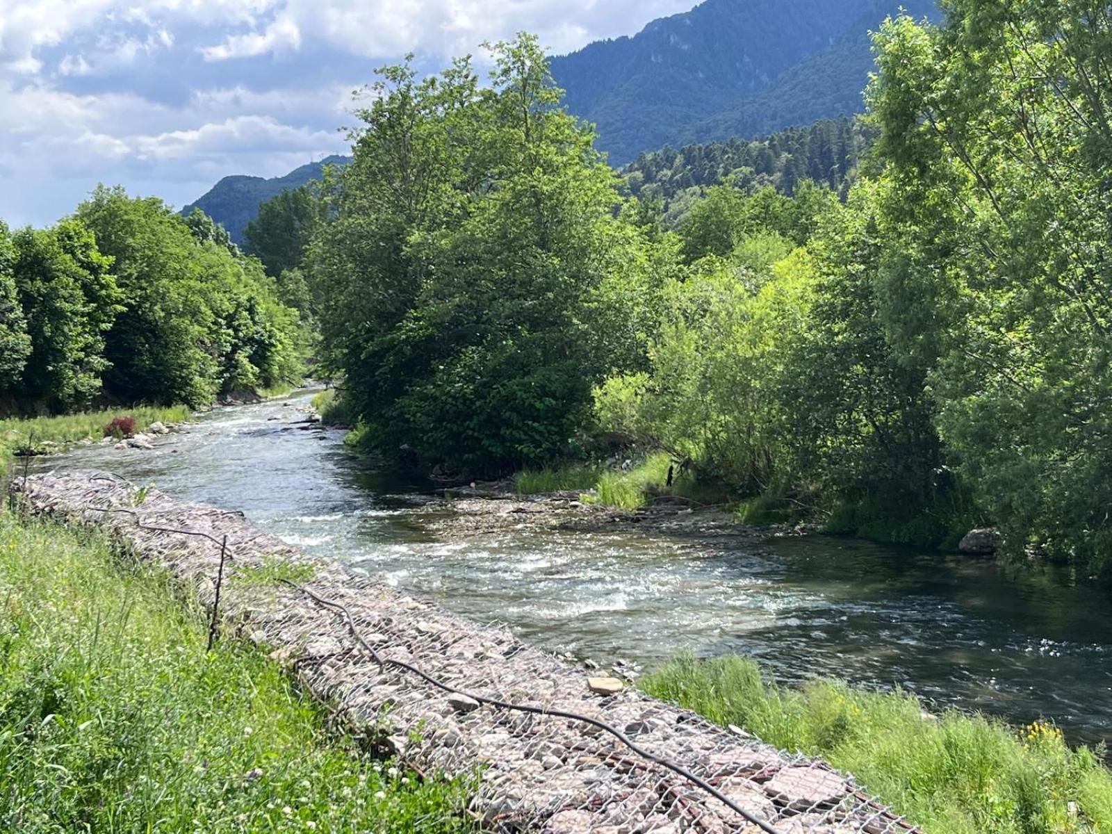 Cozy Riverfront Apartments With Garden And Mountain View Buşteni Buitenkant foto